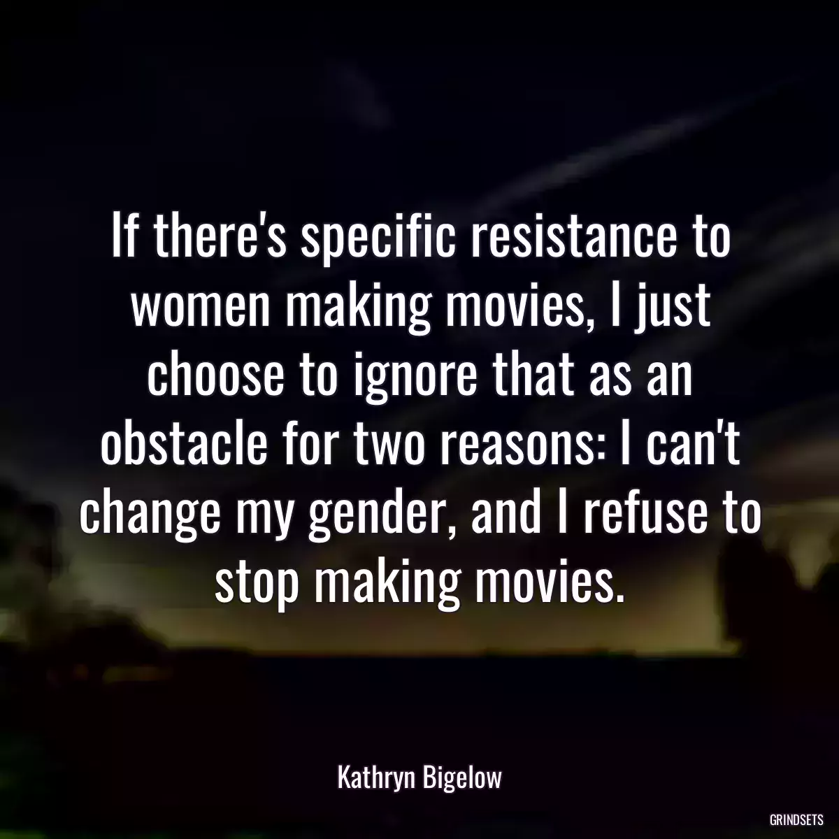 If there\'s specific resistance to women making movies, I just choose to ignore that as an obstacle for two reasons: I can\'t change my gender, and I refuse to stop making movies.