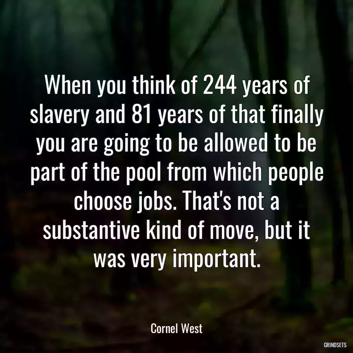 When you think of 244 years of slavery and 81 years of that finally you are going to be allowed to be part of the pool from which people choose jobs. That\'s not a substantive kind of move, but it was very important.