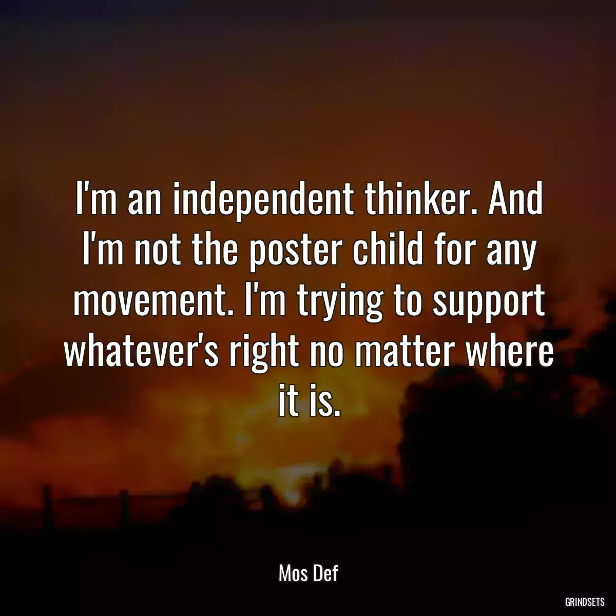 I\'m an independent thinker. And I\'m not the poster child for any movement. I\'m trying to support whatever\'s right no matter where it is.