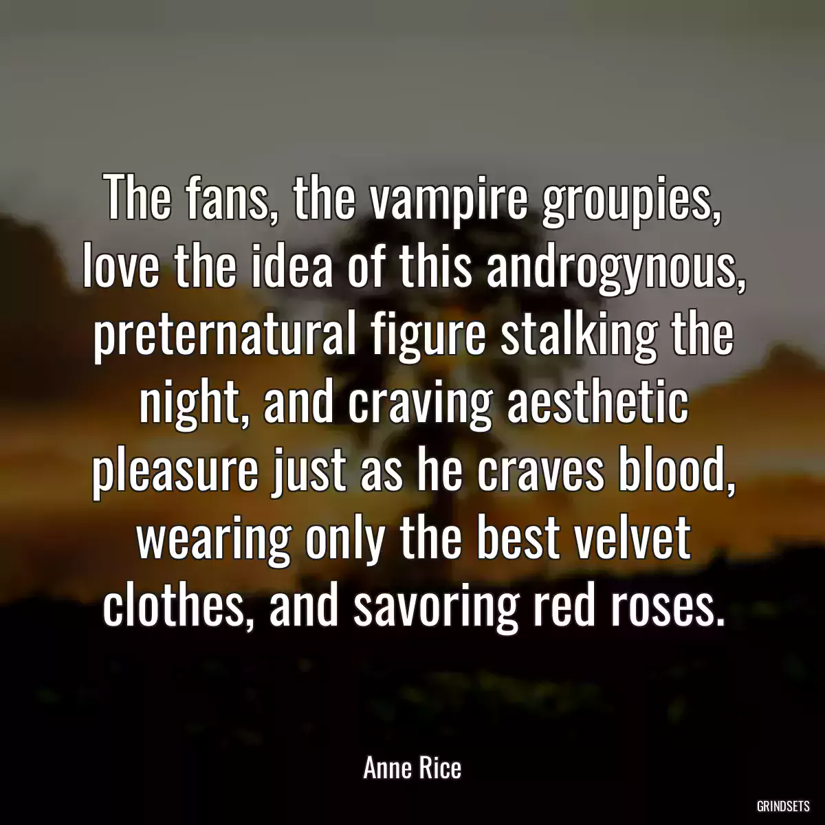 The fans, the vampire groupies, love the idea of this androgynous, preternatural figure stalking the night, and craving aesthetic pleasure just as he craves blood, wearing only the best velvet clothes, and savoring red roses.