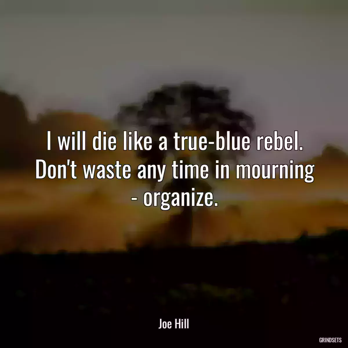 I will die like a true-blue rebel. Don\'t waste any time in mourning - organize.