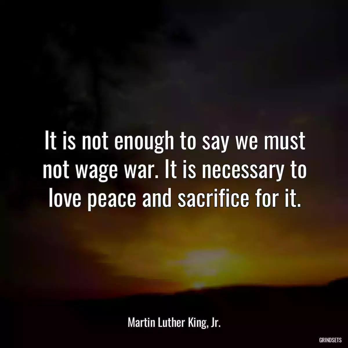 It is not enough to say we must not wage war. It is necessary to love peace and sacrifice for it.