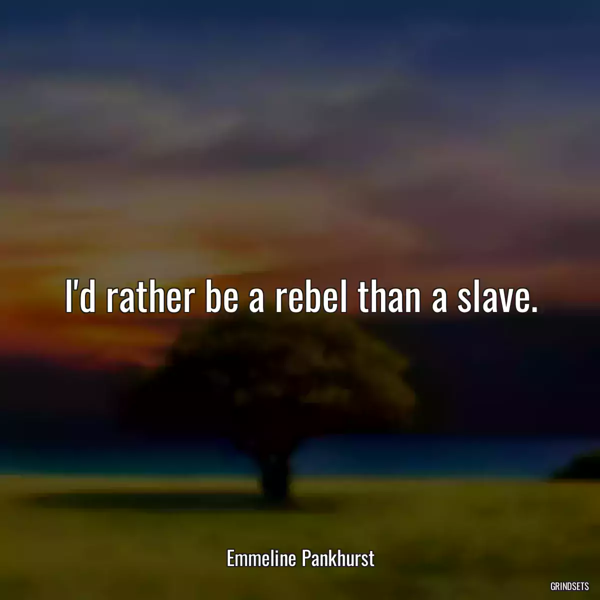 I\'d rather be a rebel than a slave.