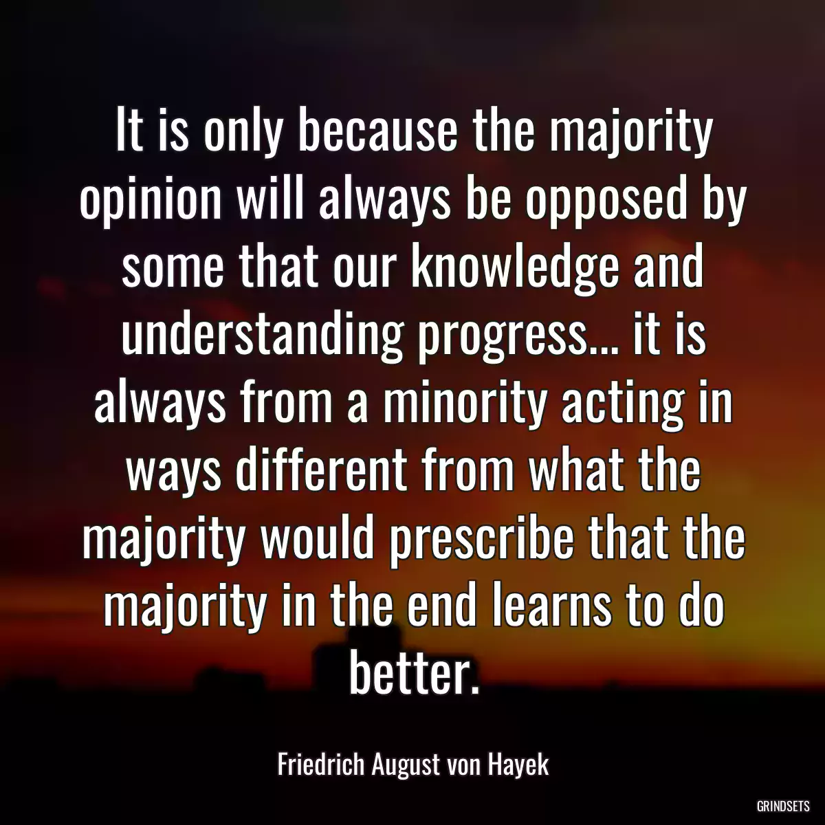 It is only because the majority opinion will always be opposed by some that our knowledge and understanding progress... it is always from a minority acting in ways different from what the majority would prescribe that the majority in the end learns to do better.