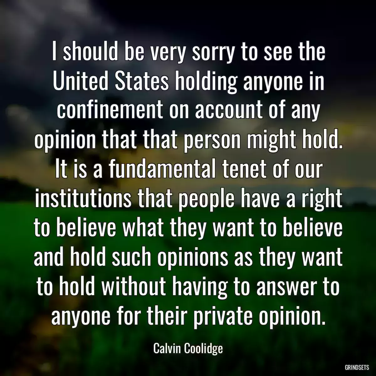 I should be very sorry to see the United States holding anyone in confinement on account of any opinion that that person might hold. It is a fundamental tenet of our institutions that people have a right to believe what they want to believe and hold such opinions as they want to hold without having to answer to anyone for their private opinion.