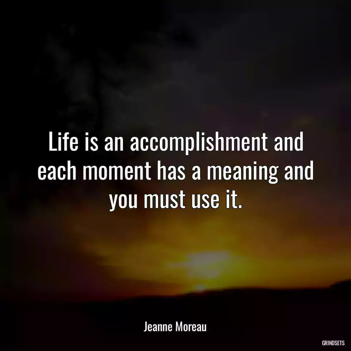 Life is an accomplishment and each moment has a meaning and you must use it.