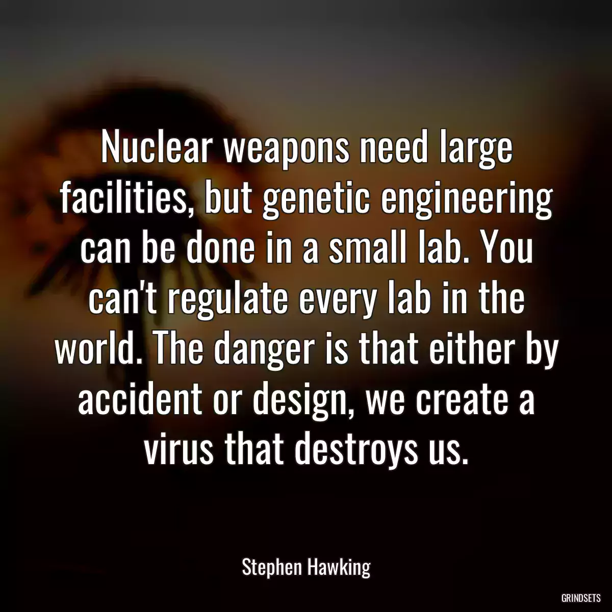 Nuclear weapons need large facilities, but genetic engineering can be done in a small lab. You can\'t regulate every lab in the world. The danger is that either by accident or design, we create a virus that destroys us.