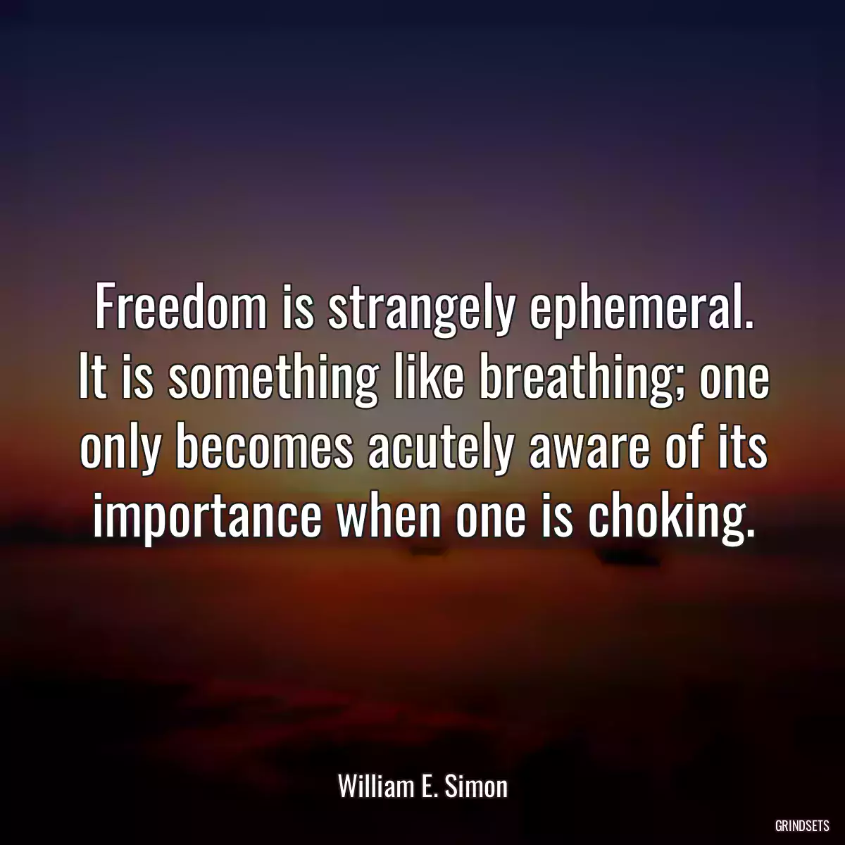 Freedom is strangely ephemeral. It is something like breathing; one only becomes acutely aware of its importance when one is choking.