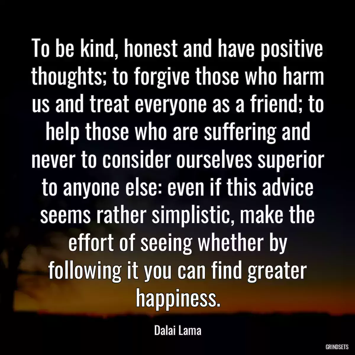 To be kind, honest and have positive thoughts; to forgive those who harm us and treat everyone as a friend; to help those who are suffering and never to consider ourselves superior to anyone else: even if this advice seems rather simplistic, make the effort of seeing whether by following it you can find greater happiness.