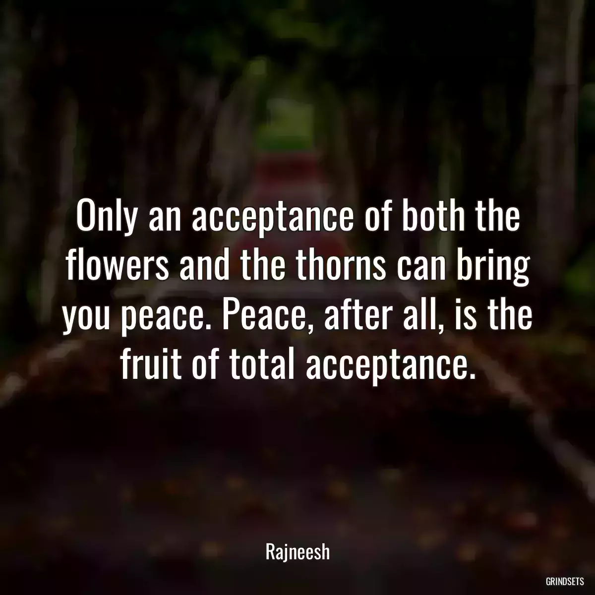 Only an acceptance of both the flowers and the thorns can bring you peace. Peace, after all, is the fruit of total acceptance.