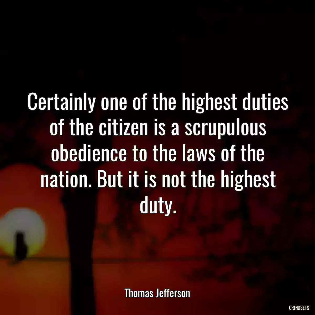 Certainly one of the highest duties of the citizen is a scrupulous obedience to the laws of the nation. But it is not the highest duty.