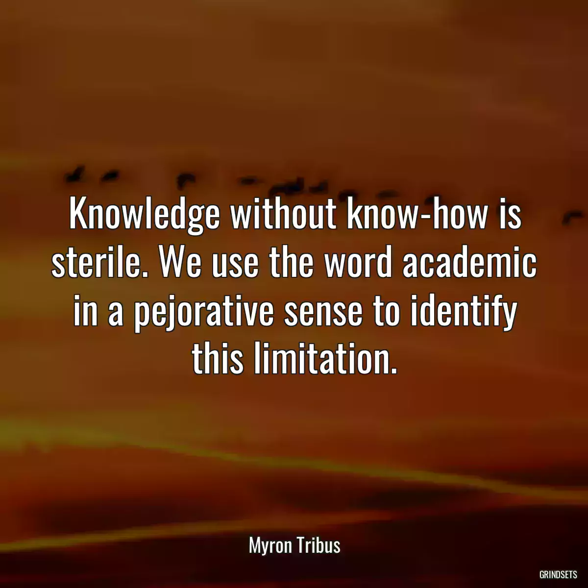 Knowledge without know-how is sterile. We use the word academic in a pejorative sense to identify this limitation.