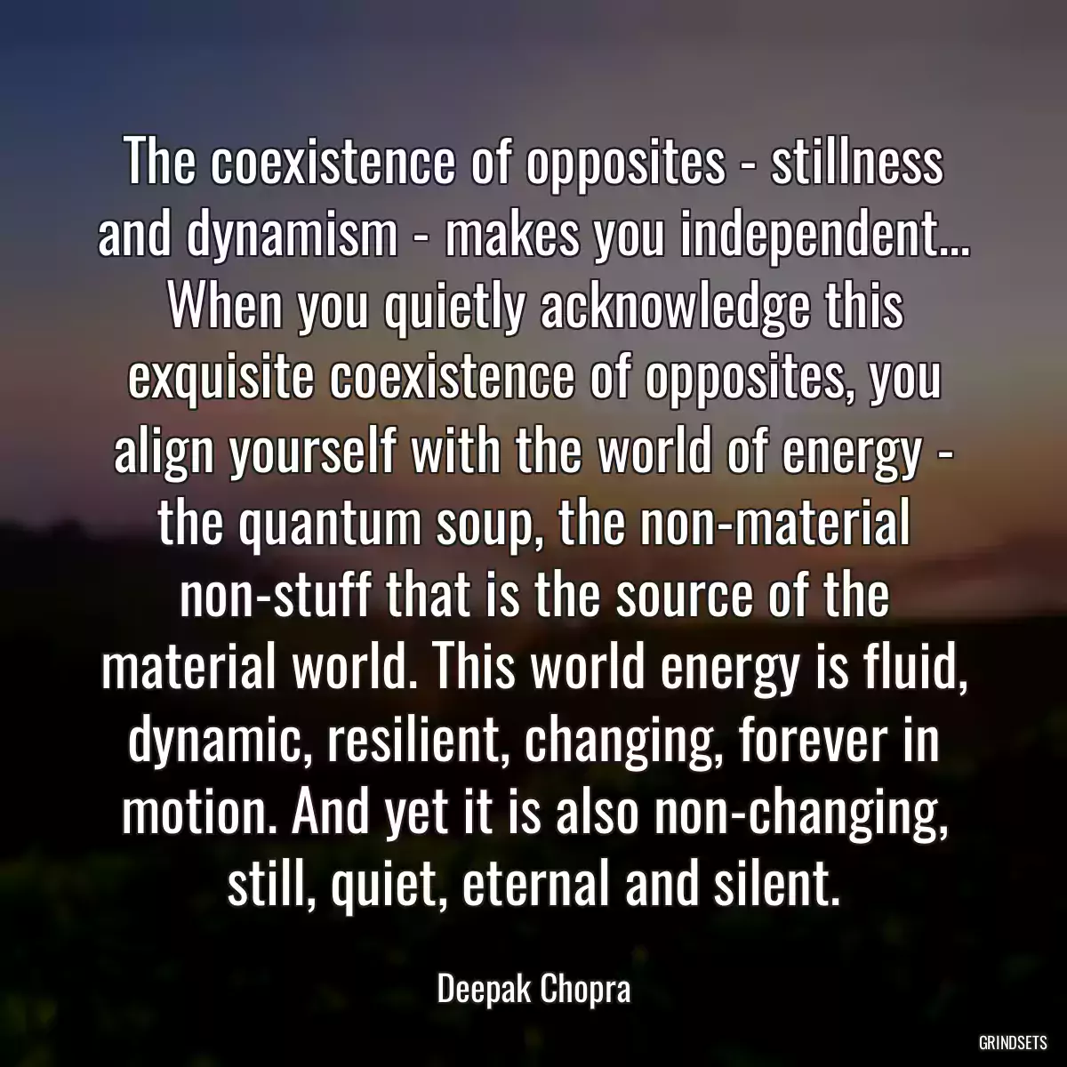 The coexistence of opposites - stillness and dynamism - makes you independent... When you quietly acknowledge this exquisite coexistence of opposites, you align yourself with the world of energy - the quantum soup, the non-material non-stuff that is the source of the material world. This world energy is fluid, dynamic, resilient, changing, forever in motion. And yet it is also non-changing, still, quiet, eternal and silent.