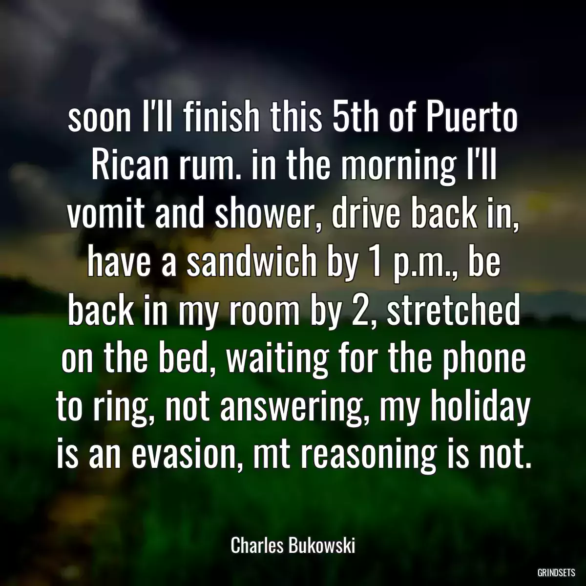 soon I\'ll finish this 5th of Puerto Rican rum. in the morning I\'ll vomit and shower, drive back in, have a sandwich by 1 p.m., be back in my room by 2, stretched on the bed, waiting for the phone to ring, not answering, my holiday is an evasion, mt reasoning is not.