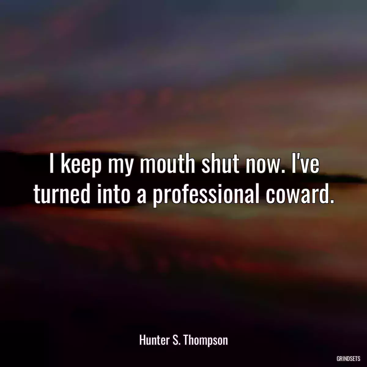 I keep my mouth shut now. I\'ve turned into a professional coward.