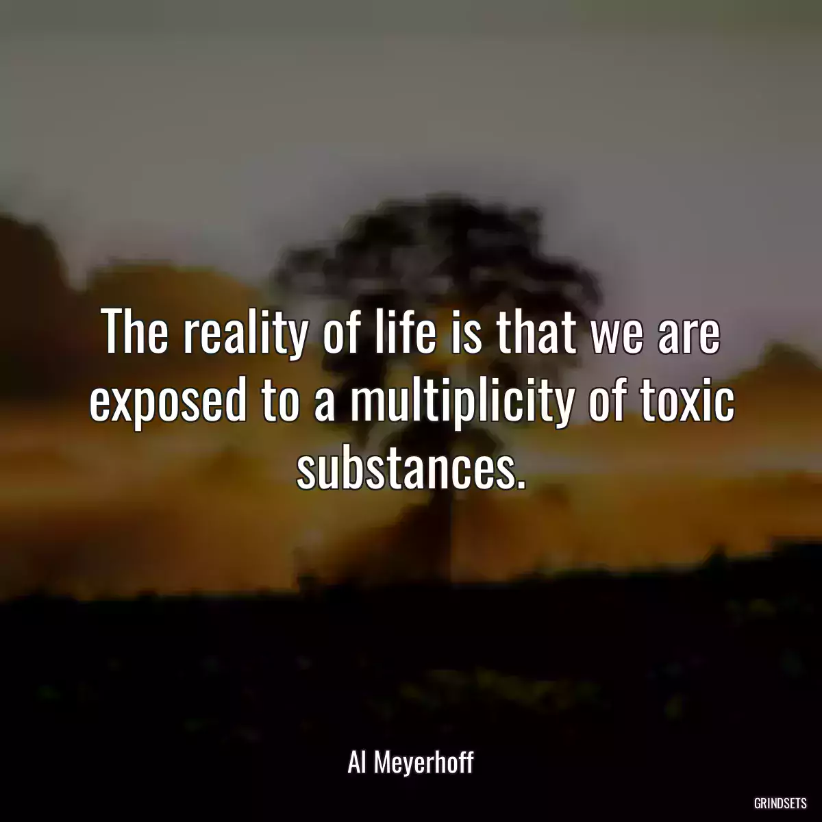 The reality of life is that we are exposed to a multiplicity of toxic substances.