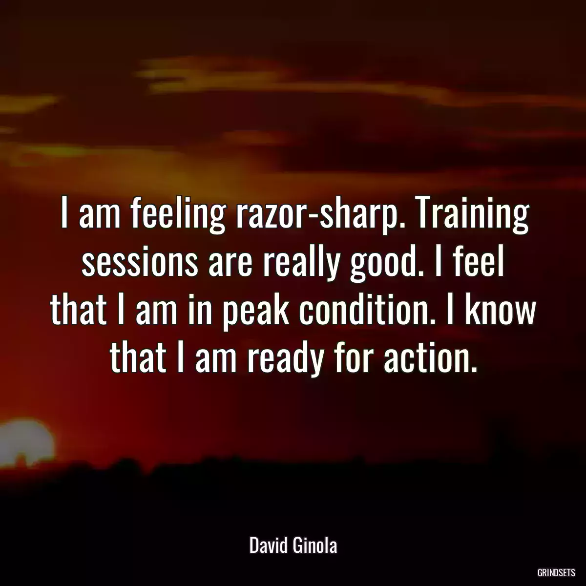 I am feeling razor-sharp. Training sessions are really good. I feel that I am in peak condition. I know that I am ready for action.