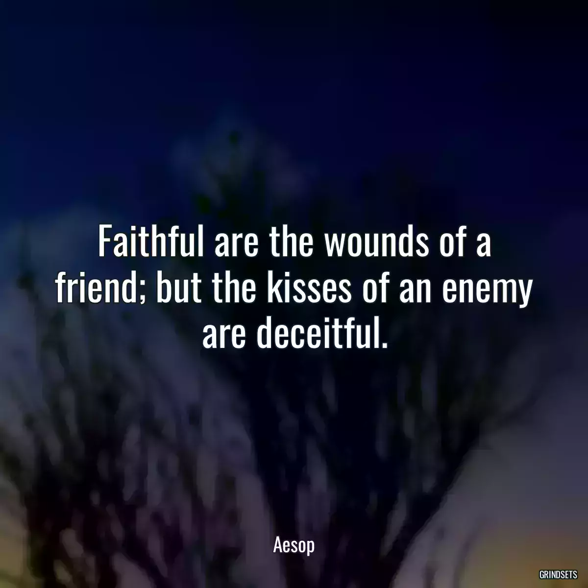 Faithful are the wounds of a friend; but the kisses of an enemy are deceitful.