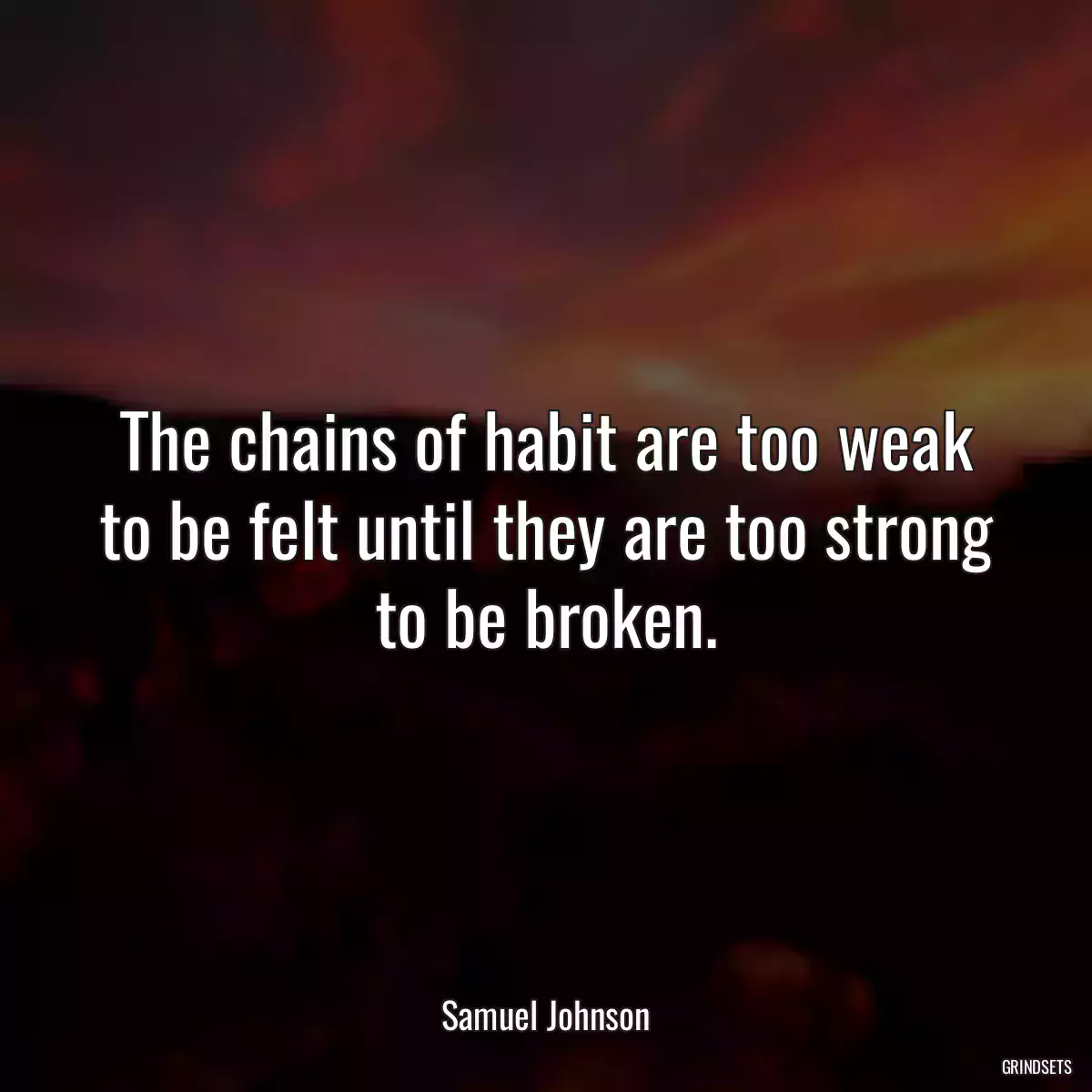 The chains of habit are too weak to be felt until they are too strong to be broken.