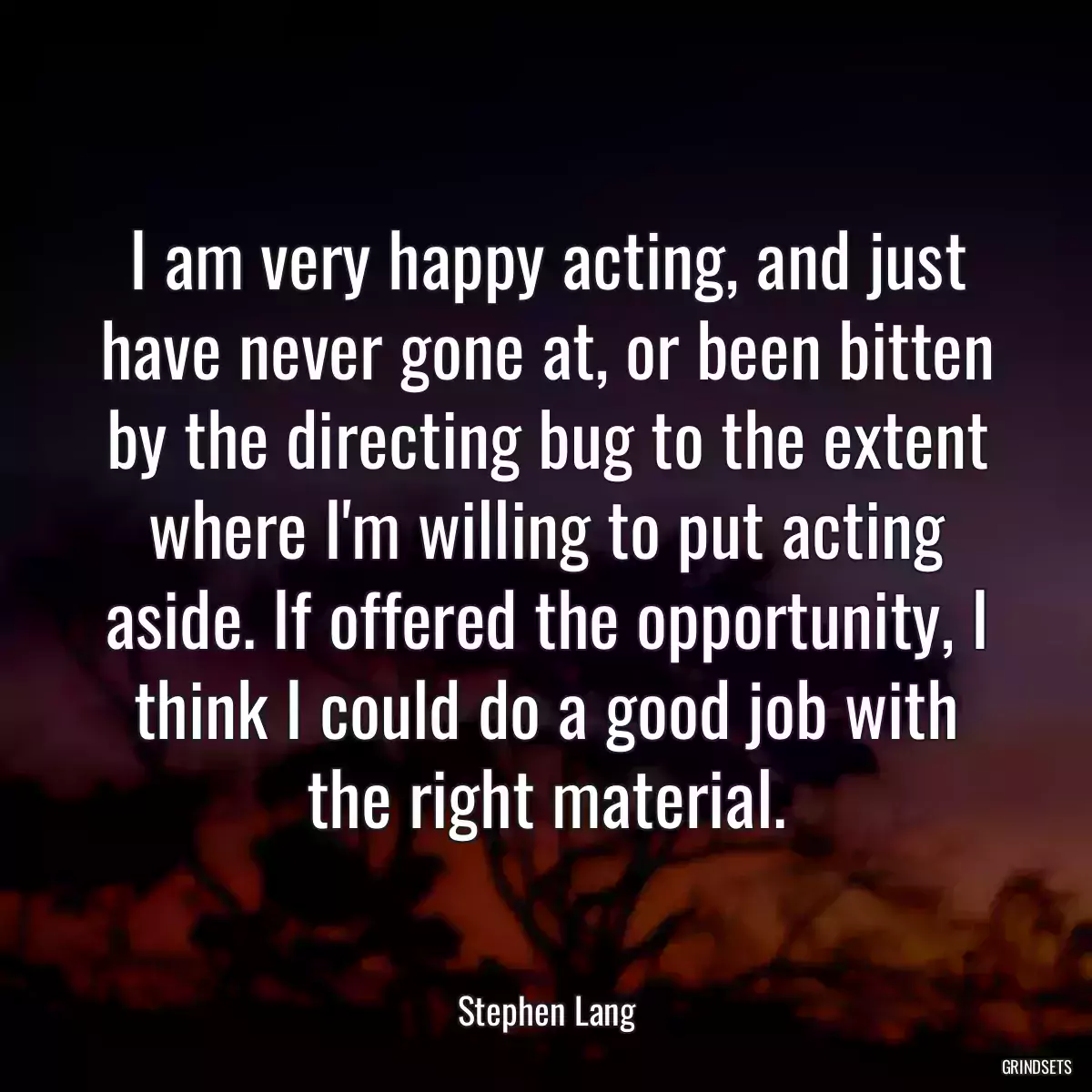 I am very happy acting, and just have never gone at, or been bitten by the directing bug to the extent where I\'m willing to put acting aside. If offered the opportunity, I think I could do a good job with the right material.