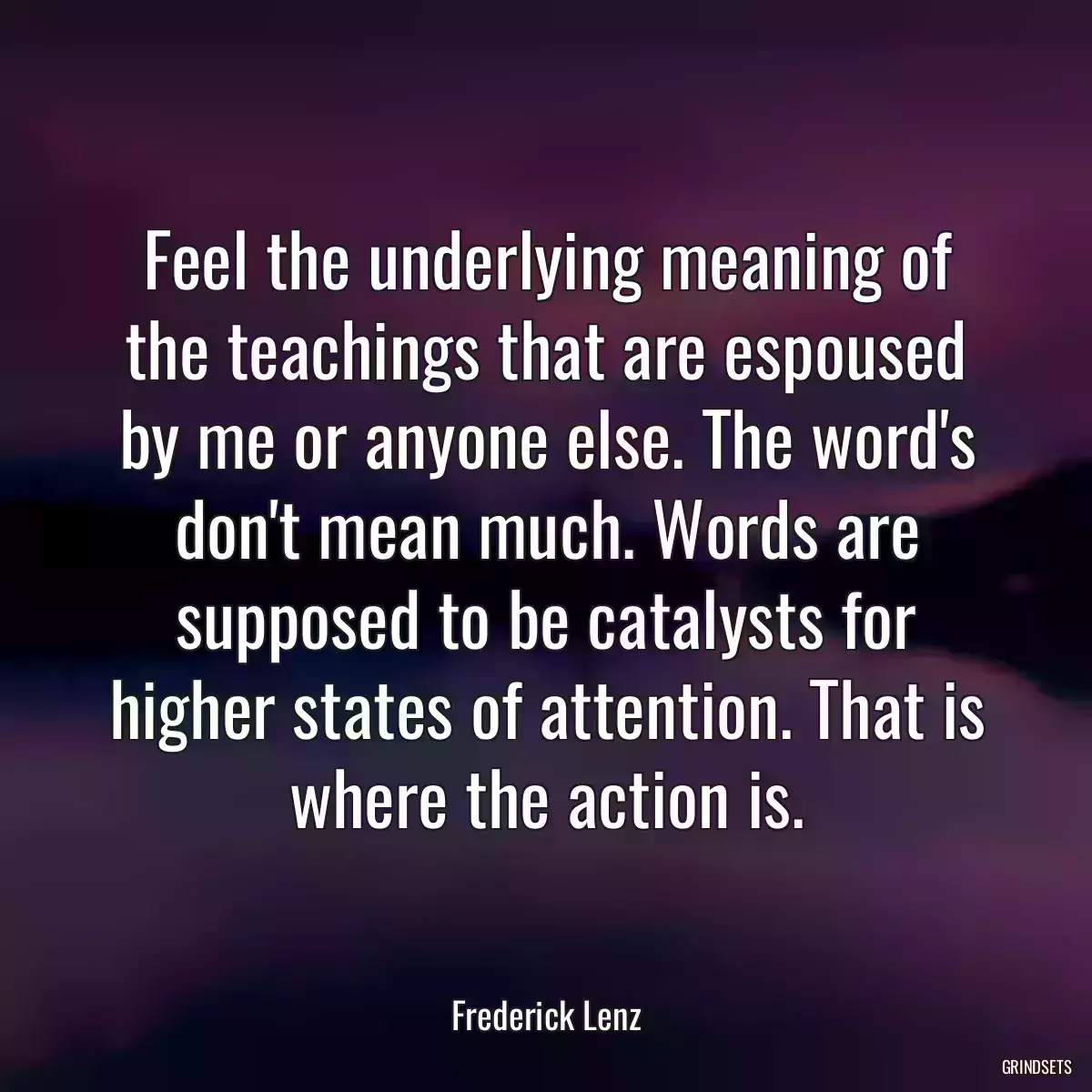 Feel the underlying meaning of the teachings that are espoused by me or anyone else. The word\'s don\'t mean much. Words are supposed to be catalysts for higher states of attention. That is where the action is.