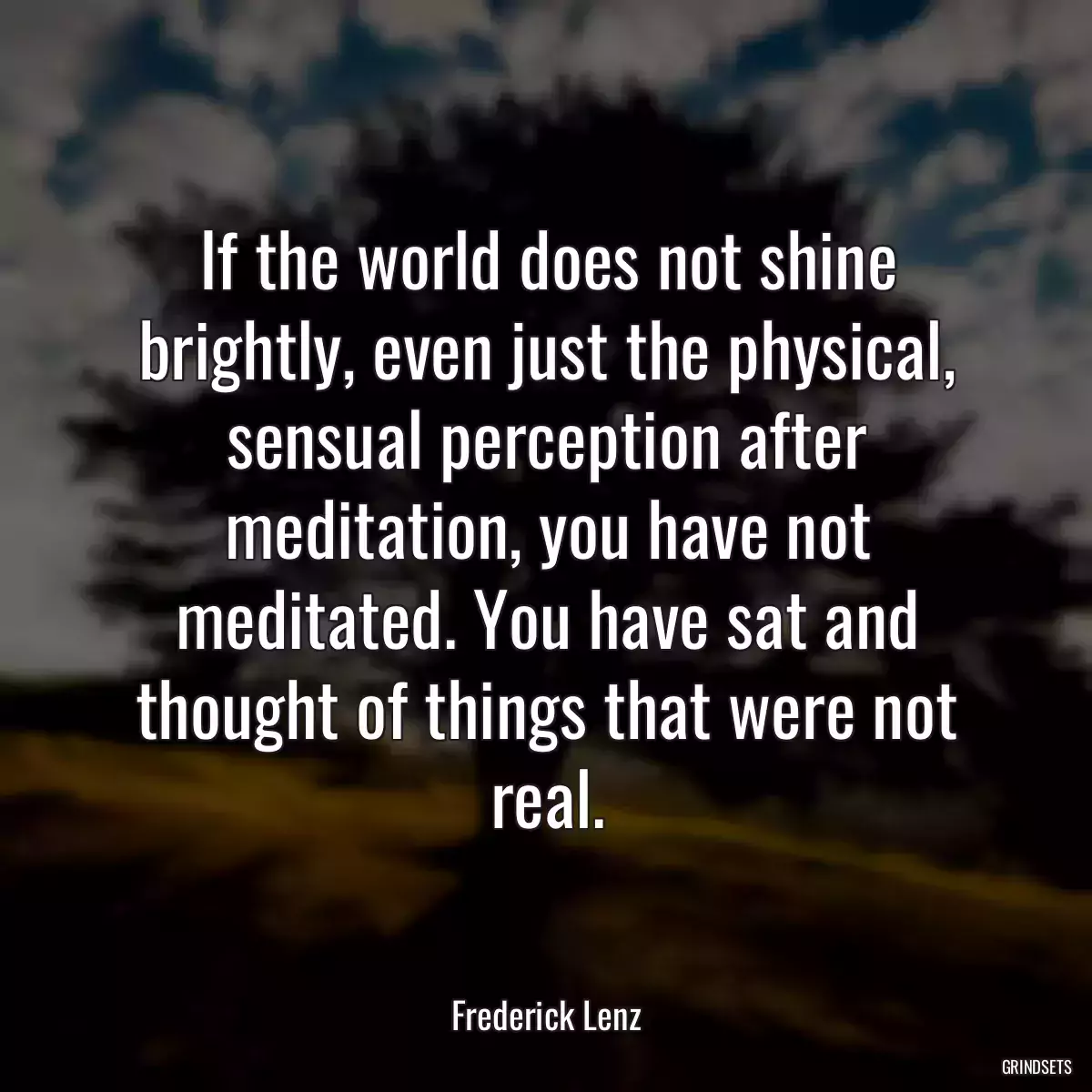 If the world does not shine brightly, even just the physical, sensual perception after meditation, you have not meditated. You have sat and thought of things that were not real.