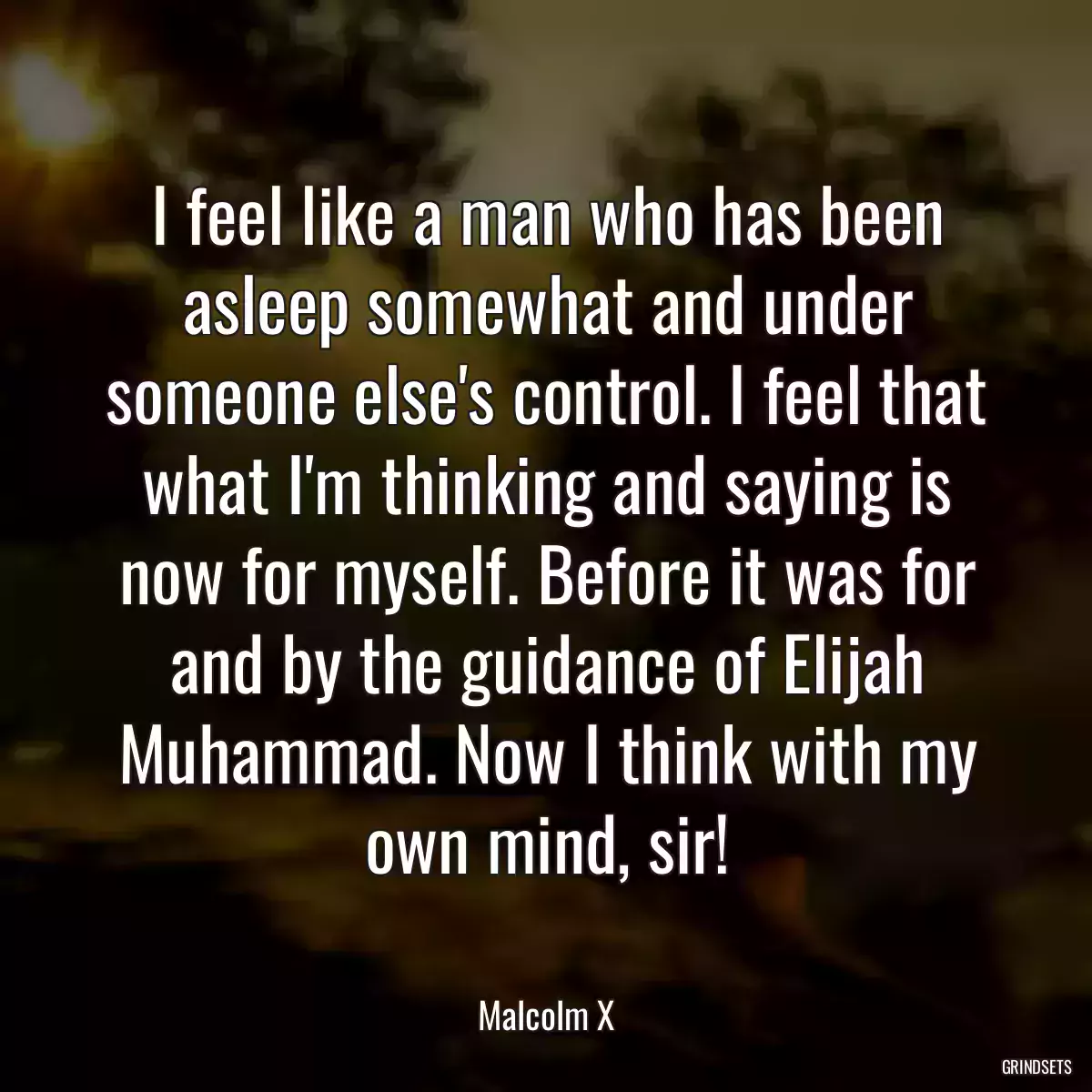 I feel like a man who has been asleep somewhat and under someone else\'s control. I feel that what I\'m thinking and saying is now for myself. Before it was for and by the guidance of Elijah Muhammad. Now I think with my own mind, sir!