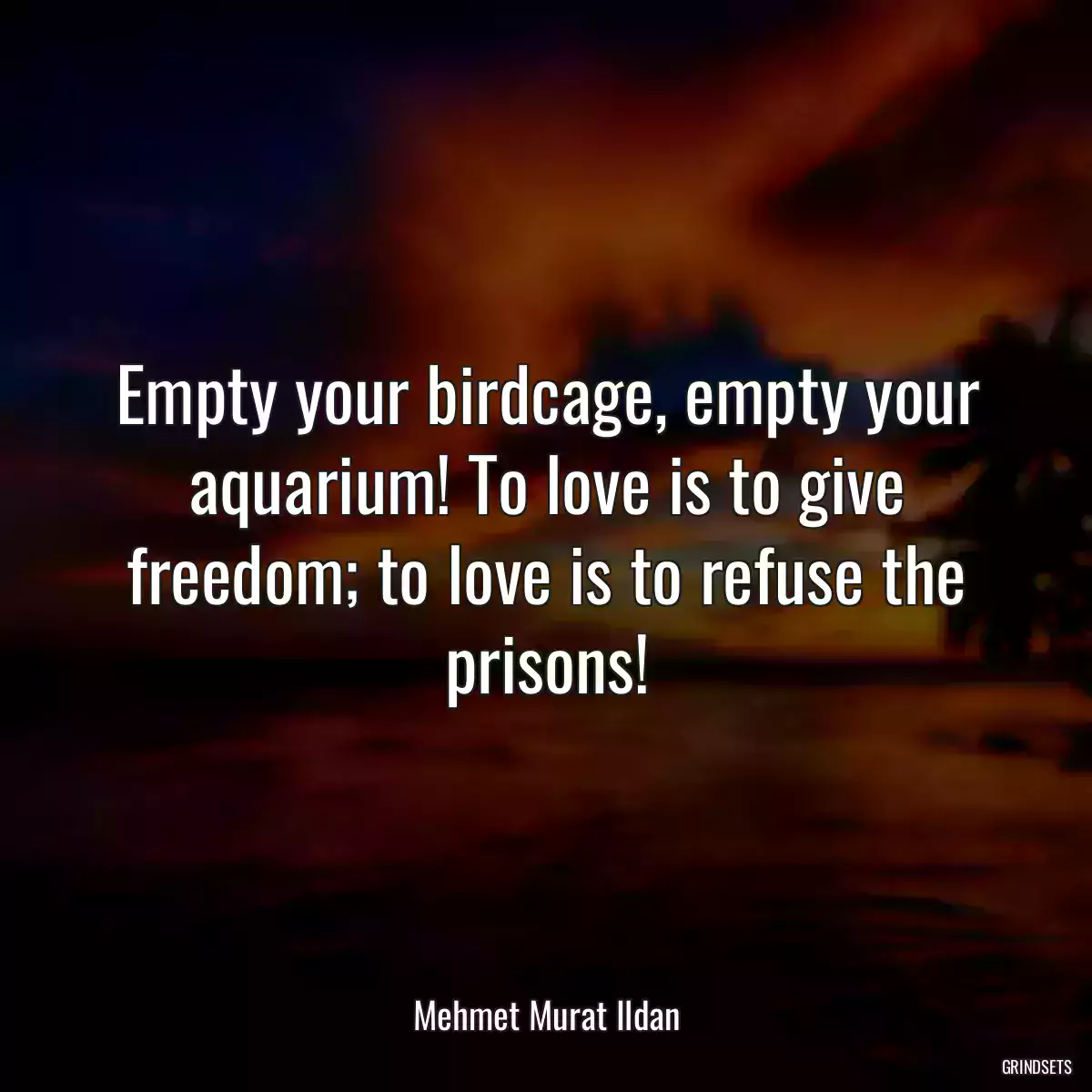 Empty your birdcage, empty your aquarium! To love is to give freedom; to love is to refuse the prisons!