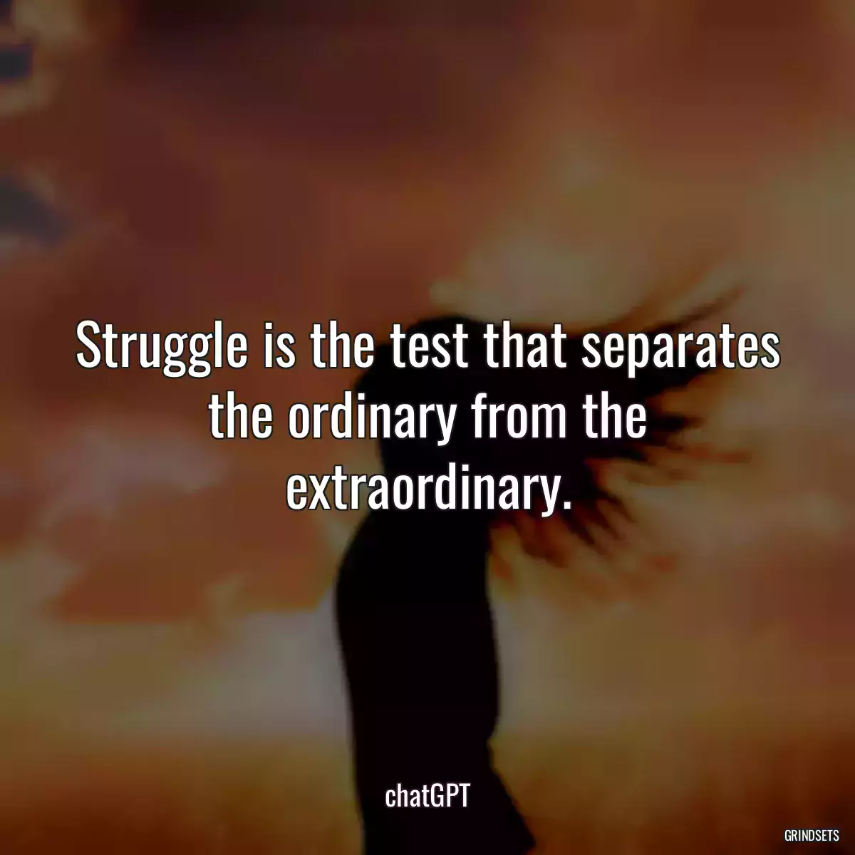 Struggle is the test that separates the ordinary from the extraordinary.