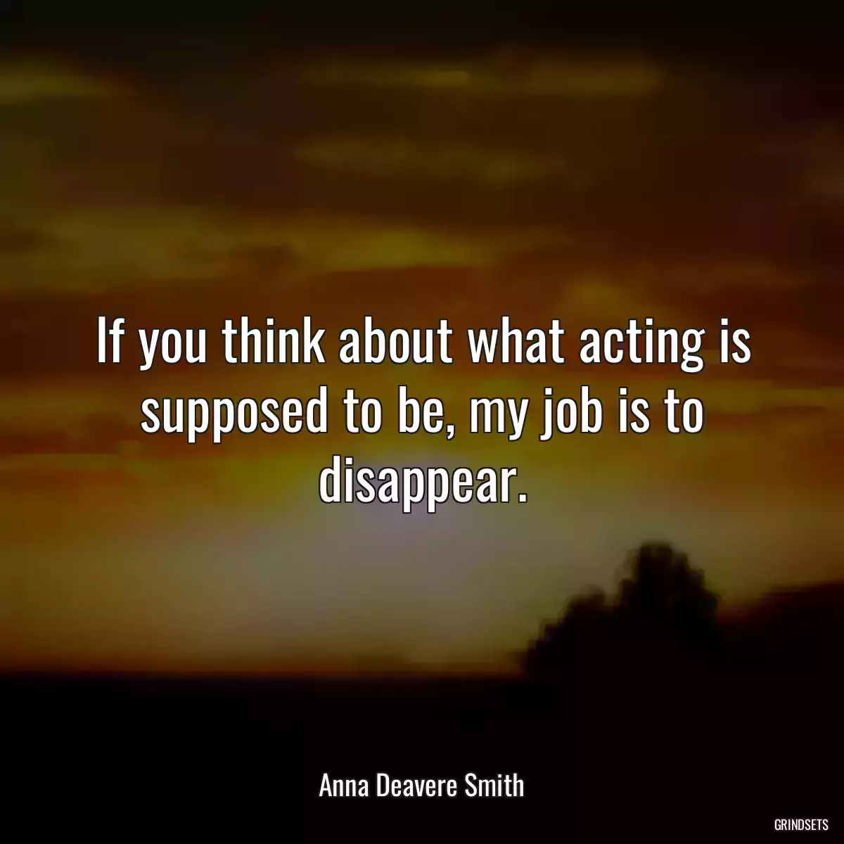 If you think about what acting is supposed to be, my job is to disappear.