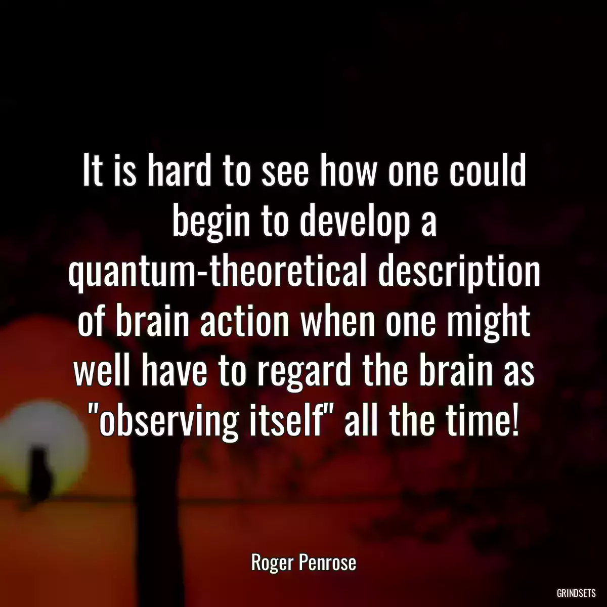 It is hard to see how one could begin to develop a quantum-theoretical description of brain action when one might well have to regard the brain as \