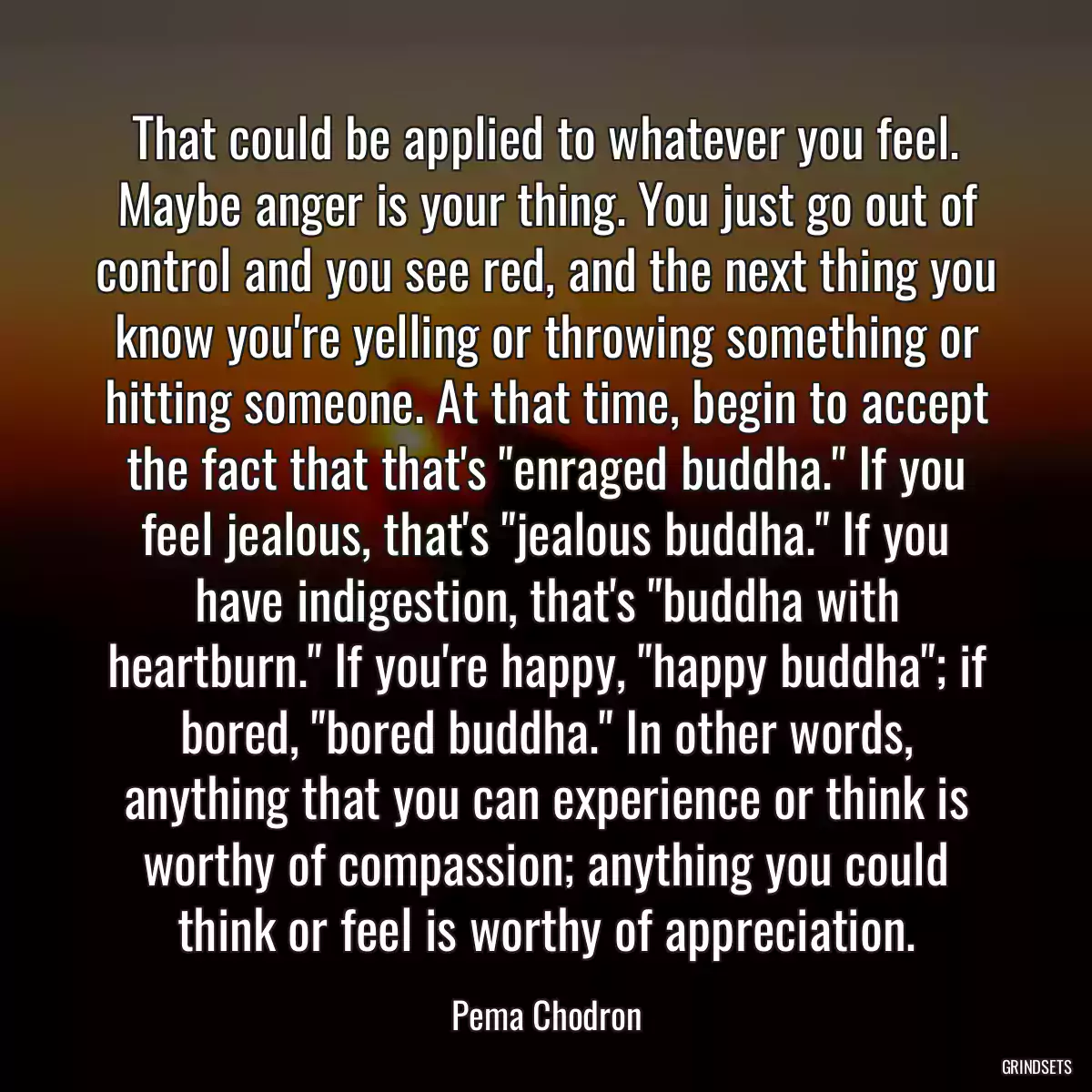 That could be applied to whatever you feel. Maybe anger is your thing. You just go out of control and you see red, and the next thing you know you\'re yelling or throwing something or hitting someone. At that time, begin to accept the fact that that\'s \