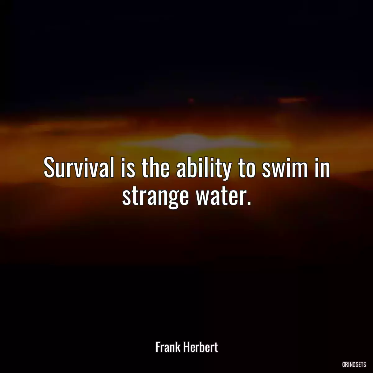 Survival is the ability to swim in strange water.