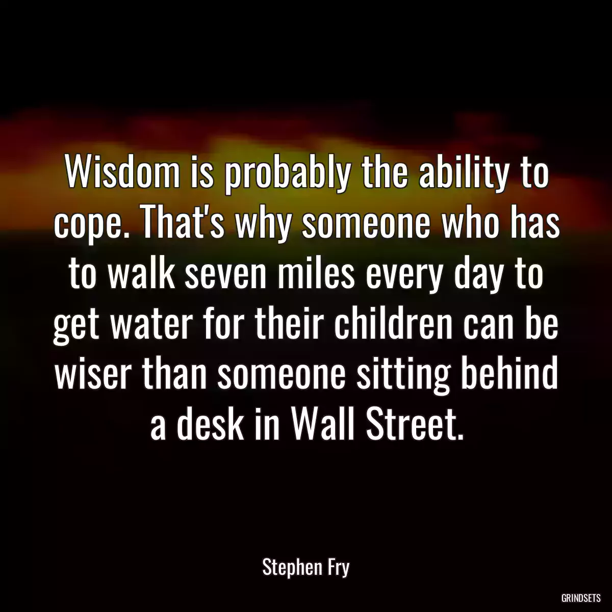 Wisdom is probably the ability to cope. That\'s why someone who has to walk seven miles every day to get water for their children can be wiser than someone sitting behind a desk in Wall Street.