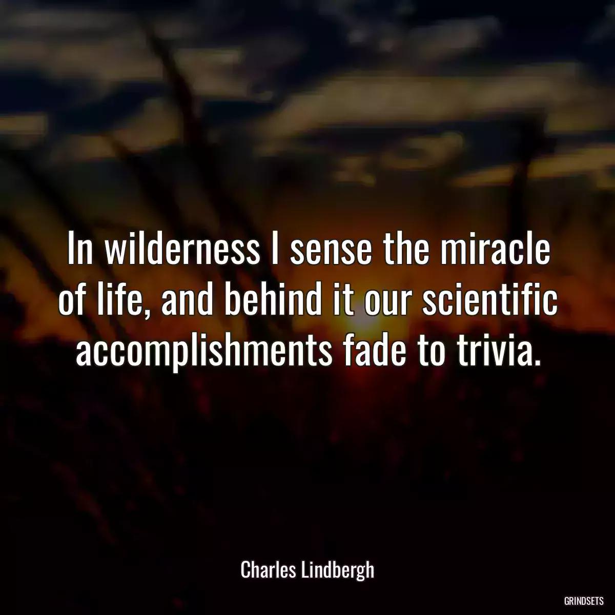 In wilderness I sense the miracle of life, and behind it our scientific accomplishments fade to trivia.