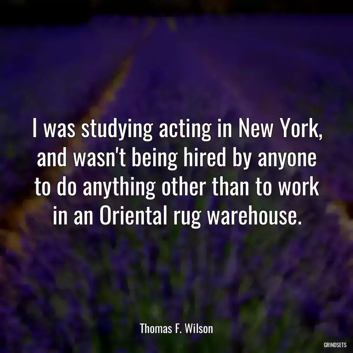 I was studying acting in New York, and wasn\'t being hired by anyone to do anything other than to work in an Oriental rug warehouse.