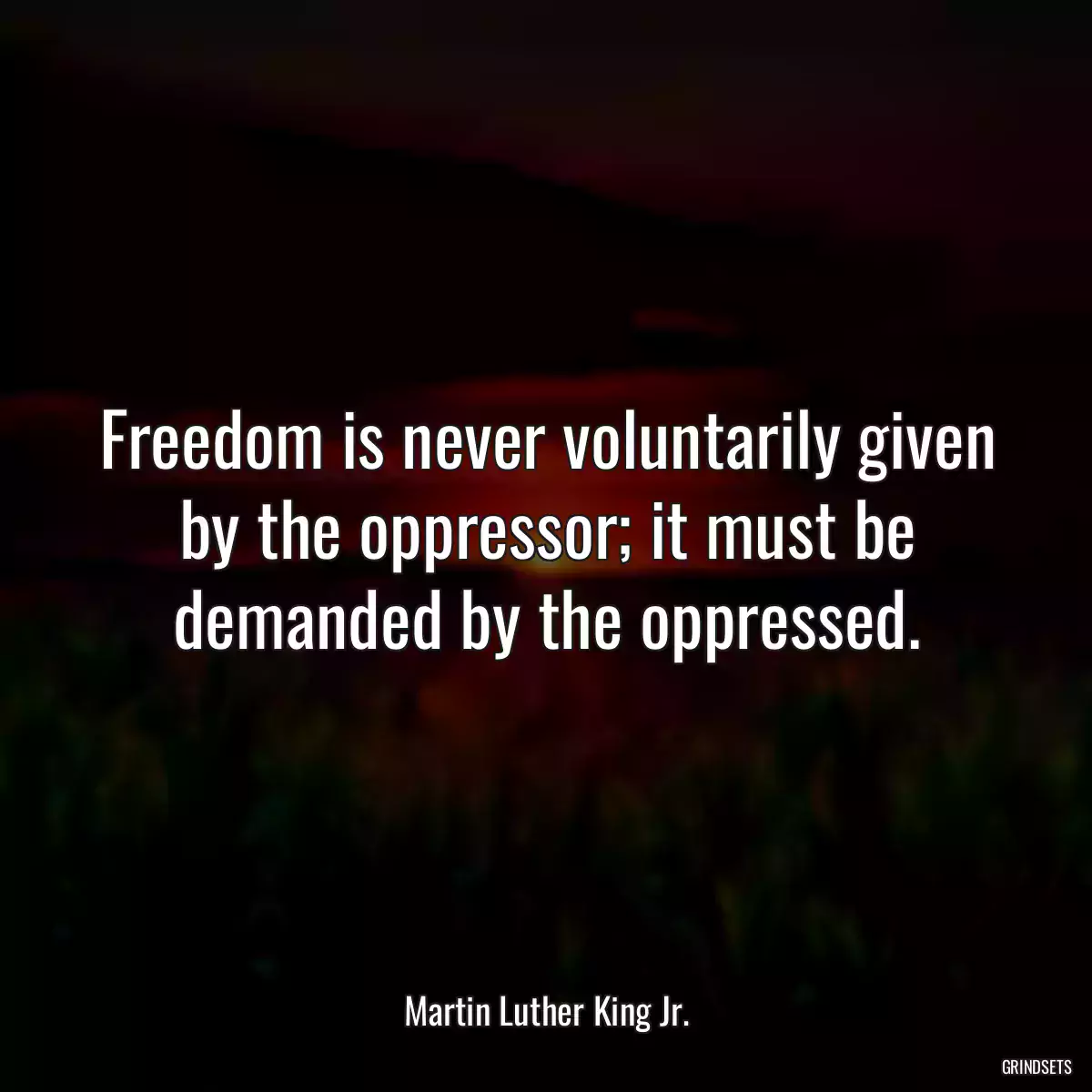 Freedom is never voluntarily given by the oppressor; it must be demanded by the oppressed.