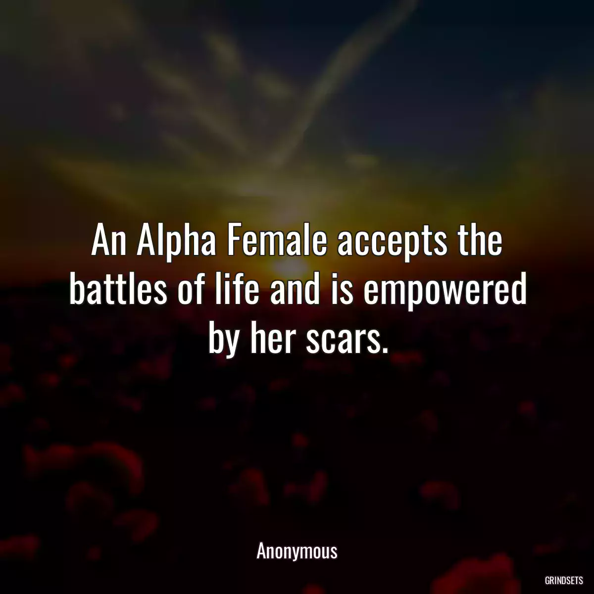 An Alpha Female accepts the battles of life and is empowered by her scars.