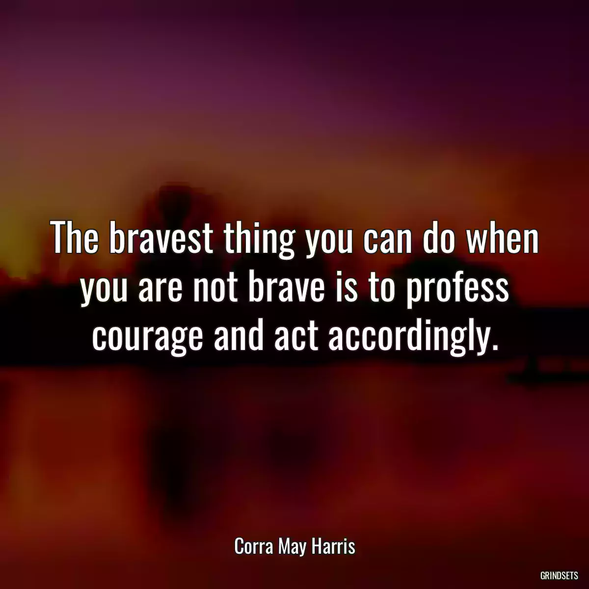 The bravest thing you can do when you are not brave is to profess courage and act accordingly.