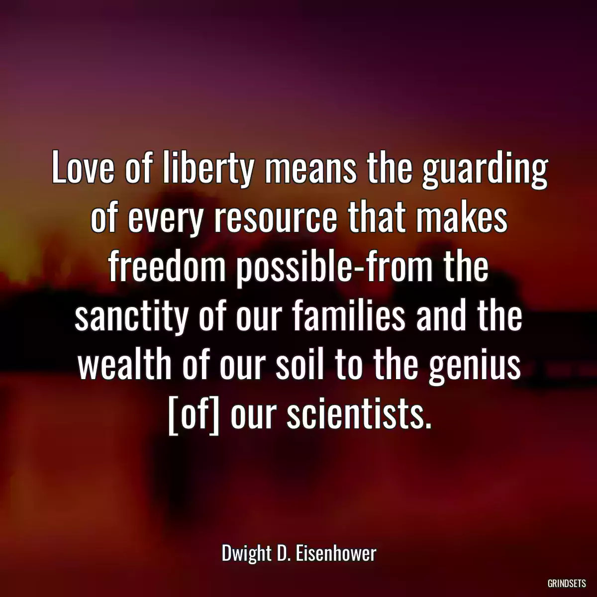 Love of liberty means the guarding of every resource that makes freedom possible-from the sanctity of our families and the wealth of our soil to the genius [of] our scientists.