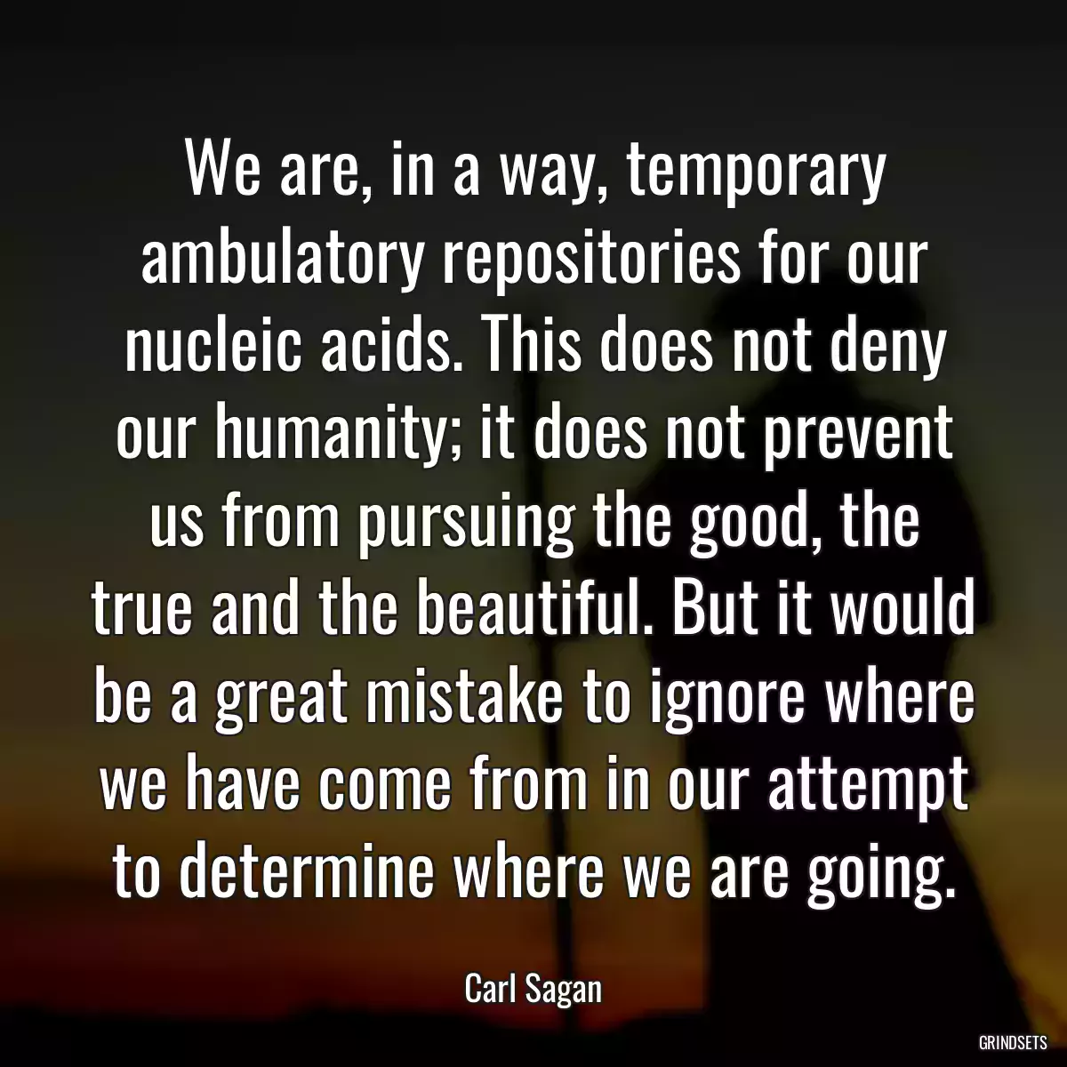 We are, in a way, temporary ambulatory repositories for our nucleic acids. This does not deny our humanity; it does not prevent us from pursuing the good, the true and the beautiful. But it would be a great mistake to ignore where we have come from in our attempt to determine where we are going.