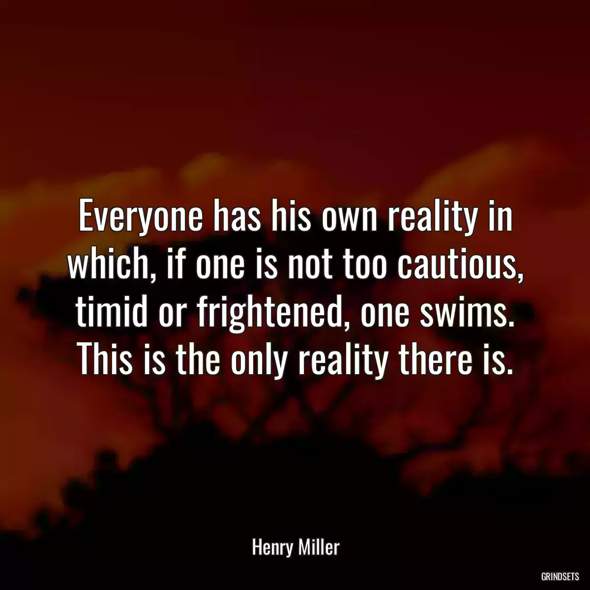 Everyone has his own reality in which, if one is not too cautious, timid or frightened, one swims. This is the only reality there is.