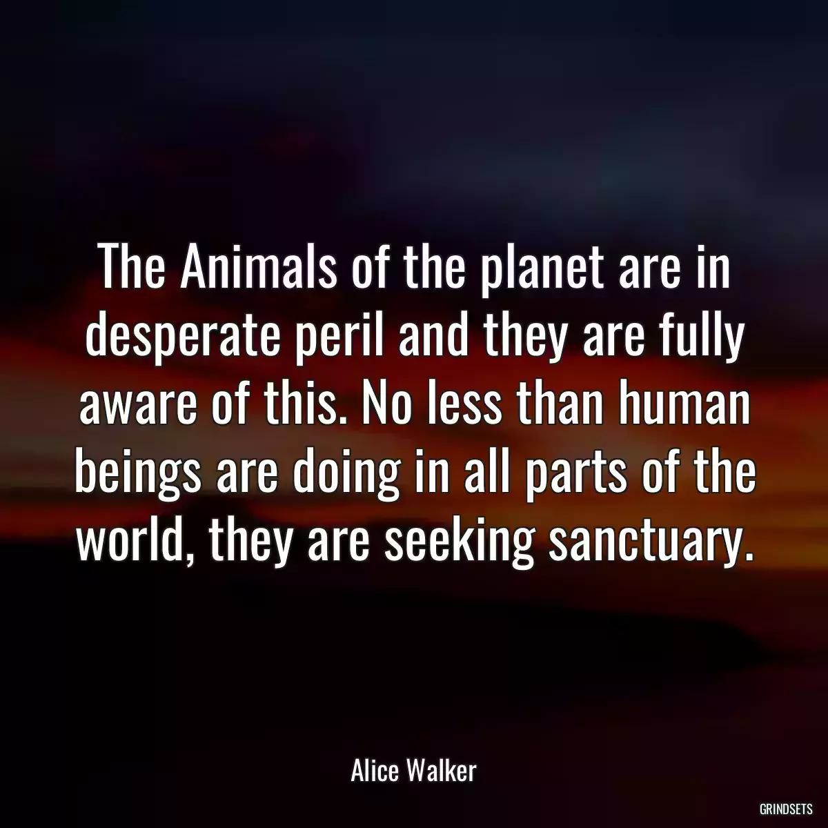 The Animals of the planet are in desperate peril and they are fully aware of this. No less than human beings are doing in all parts of the world, they are seeking sanctuary.