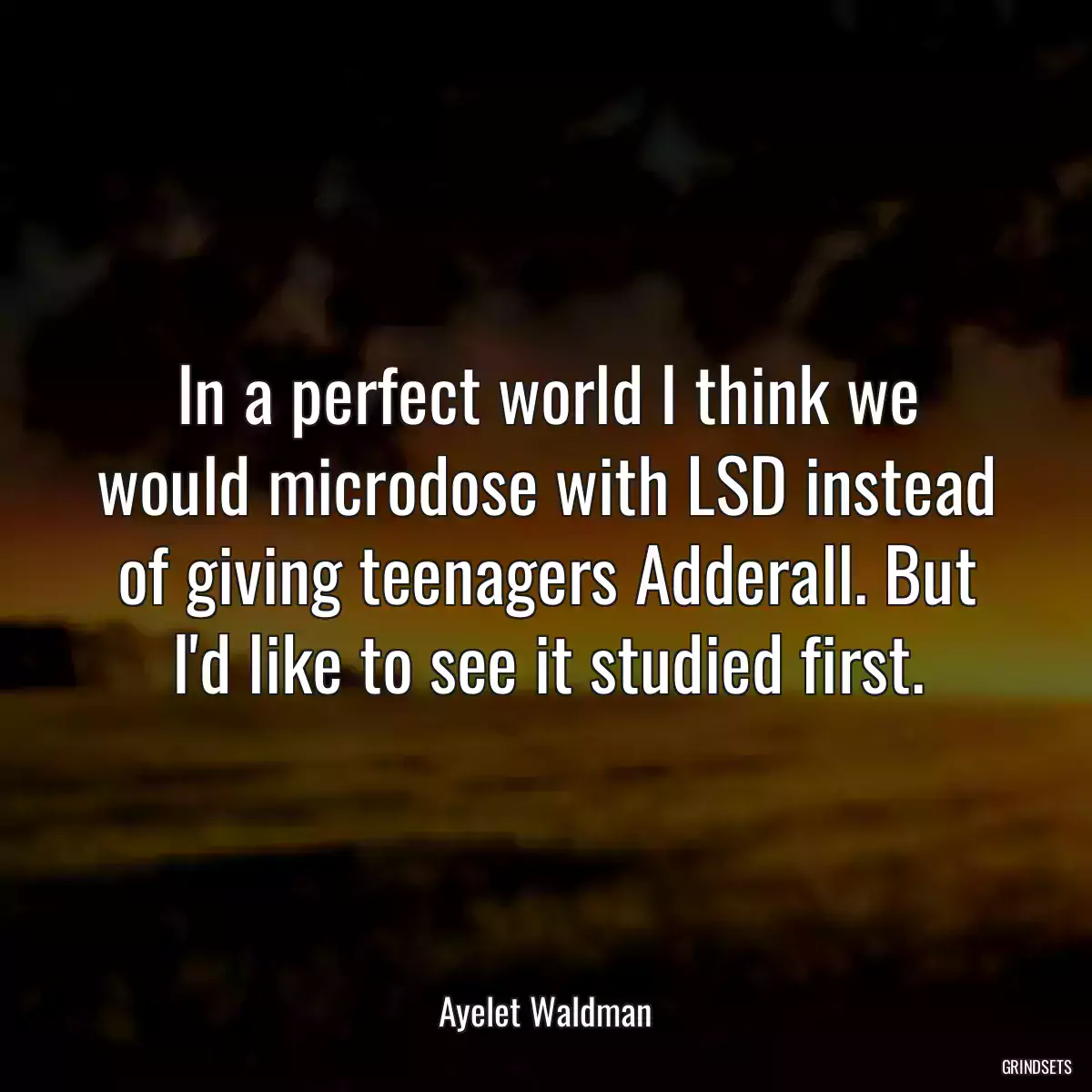 In a perfect world I think we would microdose with LSD instead of giving teenagers Adderall. But I\'d like to see it studied first.