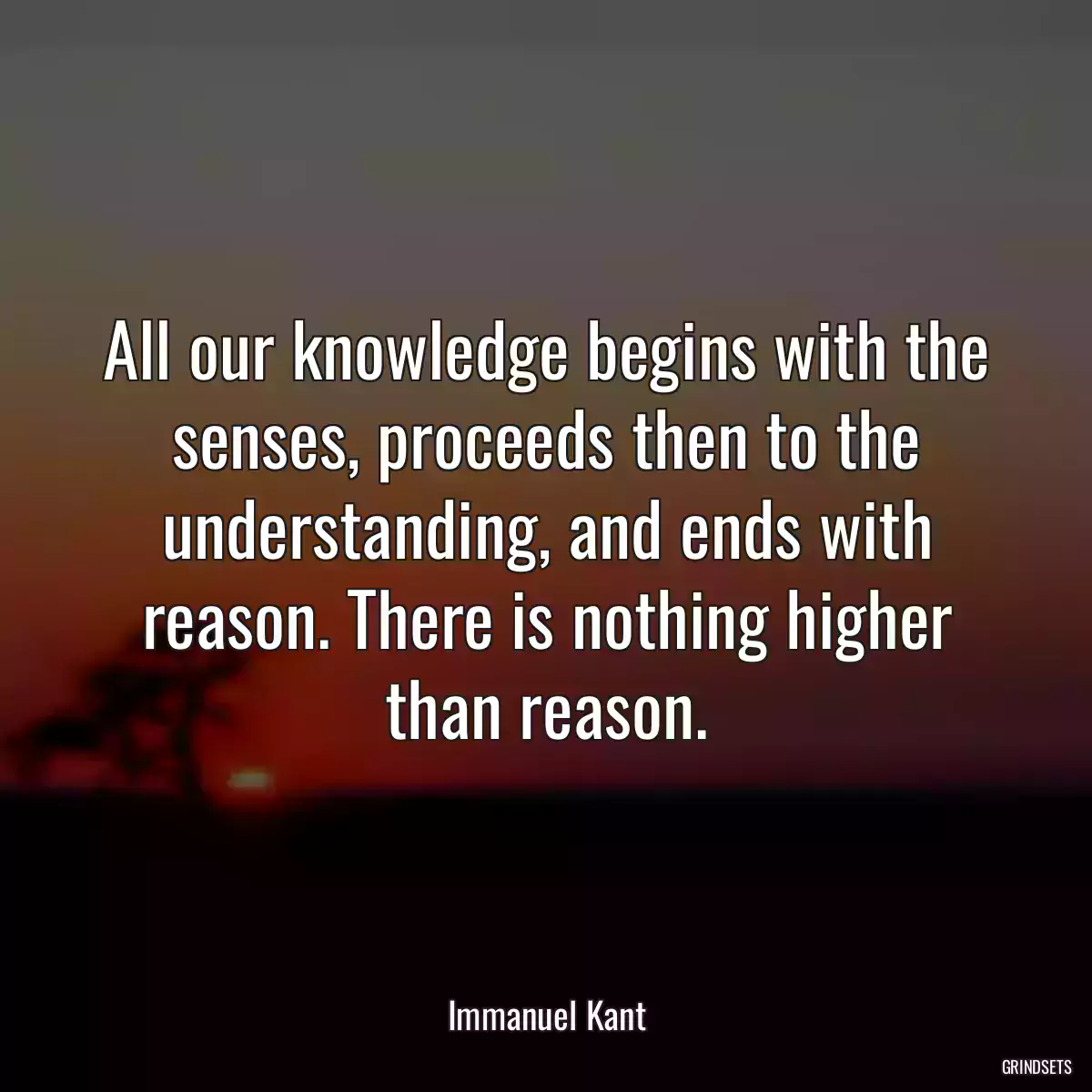 All our knowledge begins with the senses, proceeds then to the understanding, and ends with reason. There is nothing higher than reason.