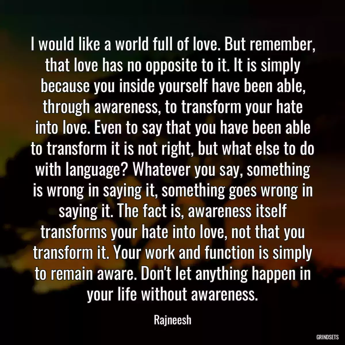 I would like a world full of love. But remember, that love has no opposite to it. It is simply because you inside yourself have been able, through awareness, to transform your hate into love. Even to say that you have been able to transform it is not right, but what else to do with language? Whatever you say, something is wrong in saying it, something goes wrong in saying it. The fact is, awareness itself transforms your hate into love, not that you transform it. Your work and function is simply to remain aware. Don\'t let anything happen in your life without awareness.