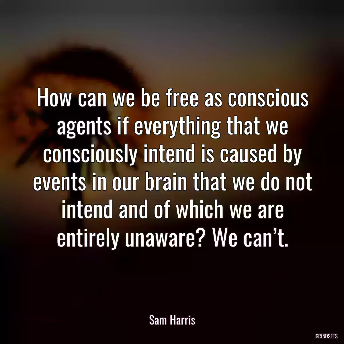 How can we be free as conscious agents if everything that we consciously intend is caused by events in our brain that we do not intend and of which we are entirely unaware? We can’t.