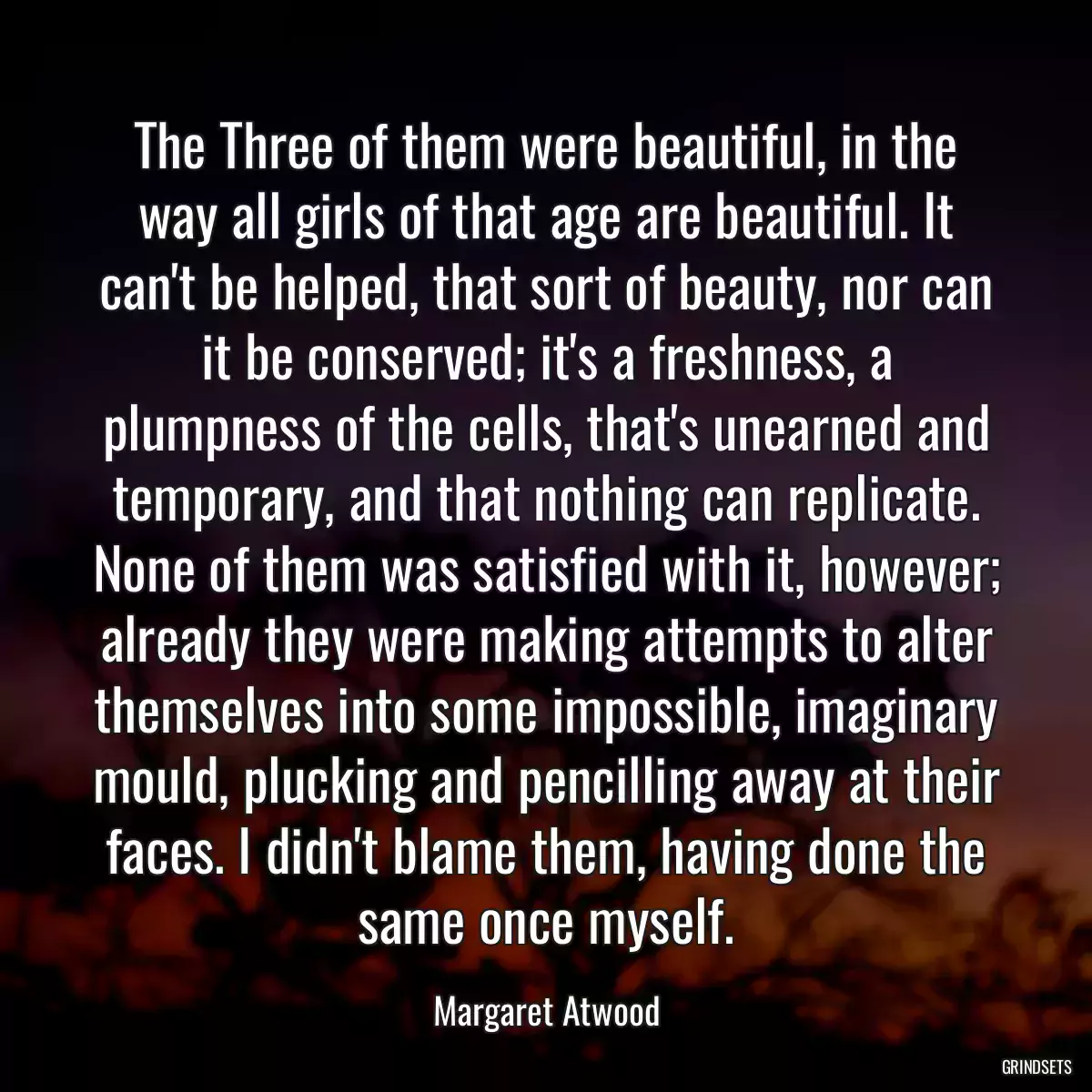 The Three of them were beautiful, in the way all girls of that age are beautiful. It can\'t be helped, that sort of beauty, nor can it be conserved; it\'s a freshness, a plumpness of the cells, that\'s unearned and temporary, and that nothing can replicate. None of them was satisfied with it, however; already they were making attempts to alter themselves into some impossible, imaginary mould, plucking and pencilling away at their faces. I didn\'t blame them, having done the same once myself.