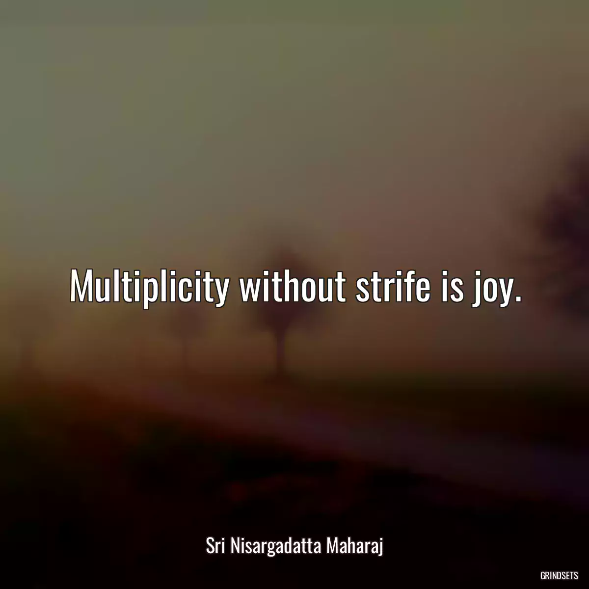 Multiplicity without strife is joy.