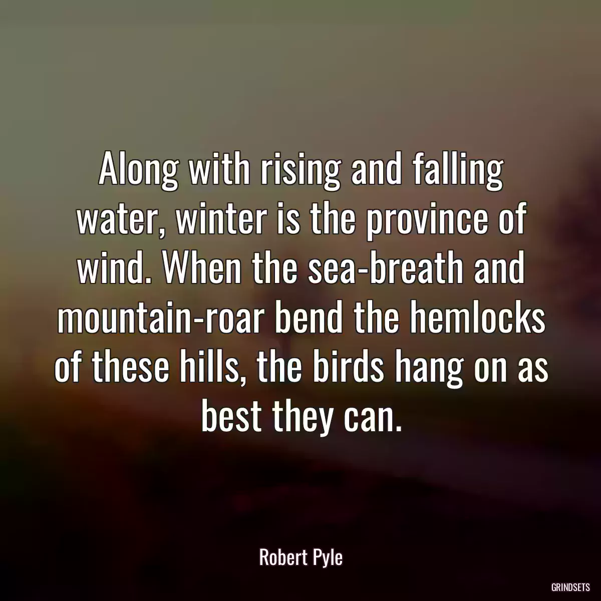 Along with rising and falling water, winter is the province of wind. When the sea-breath and mountain-roar bend the hemlocks of these hills, the birds hang on as best they can.